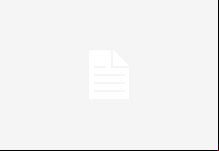 Template Colunistas – Dora Nunes